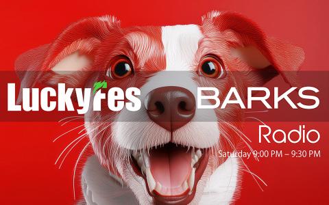 【出演情報】LuckyFM 茨城放送「LuckyFes×BARKS Radio」